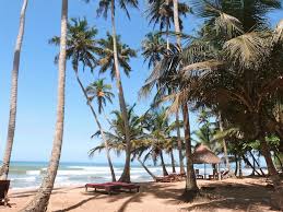 Ankobra Beach Resort