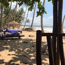Ankobra Beach Resort