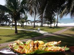 Coconut Groove Beach Resort