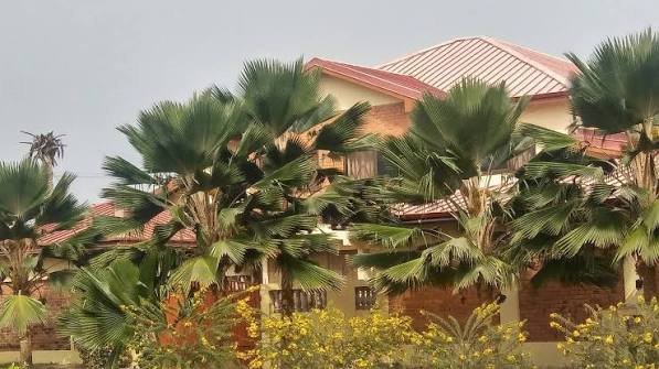 Main Hotel